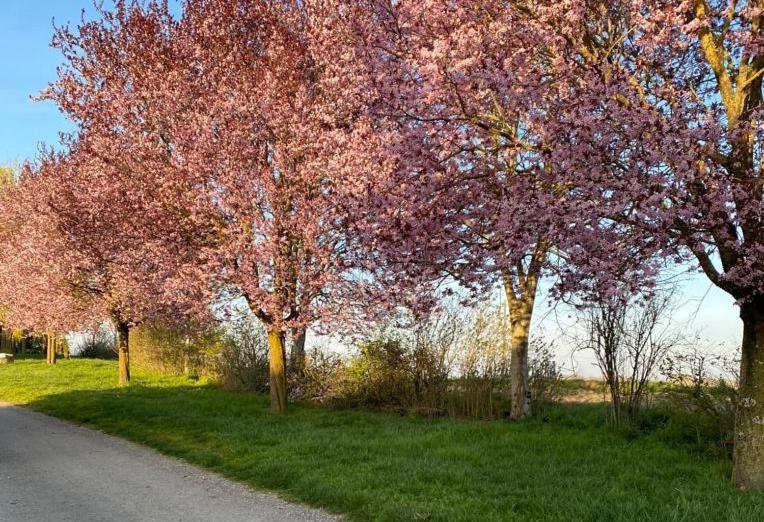 Senouillac Gite A La Ferme - Confort & Nature المظهر الخارجي الصورة